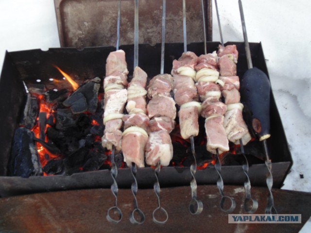 Дача, грибы, мясо, овощи.