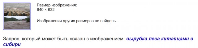 Локальный апокалипсис на Прикарпатье