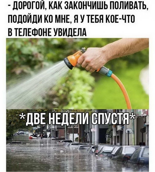 Дурдом