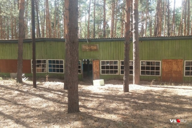 Забытый в сосновом лесу: закрытый элитный детский лагерь под Волгоградом