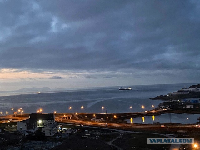 Котлетки «КК»: Кальмар+ Курица:)