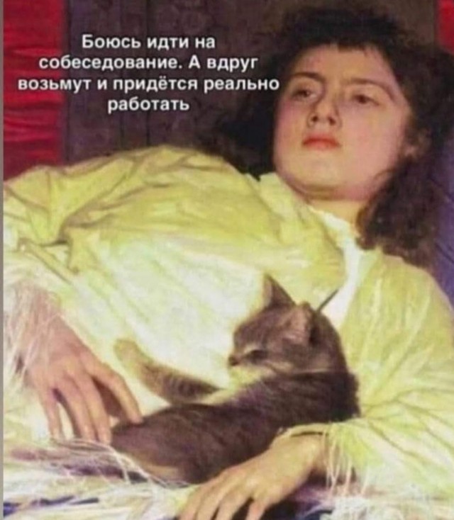 Бредзона 12.11.2020