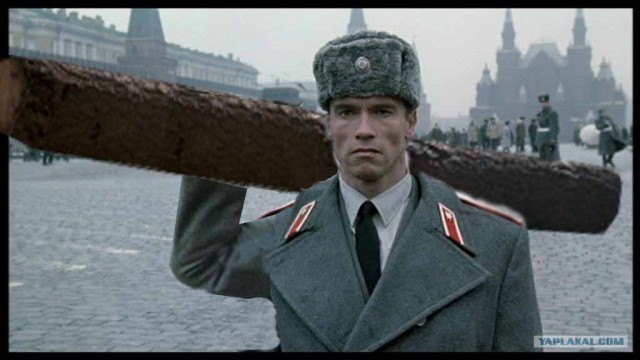 Фотожаба: Арни и бревно