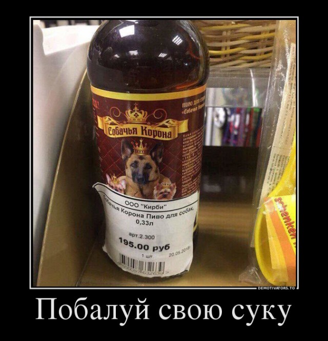 Дурацкие картинки