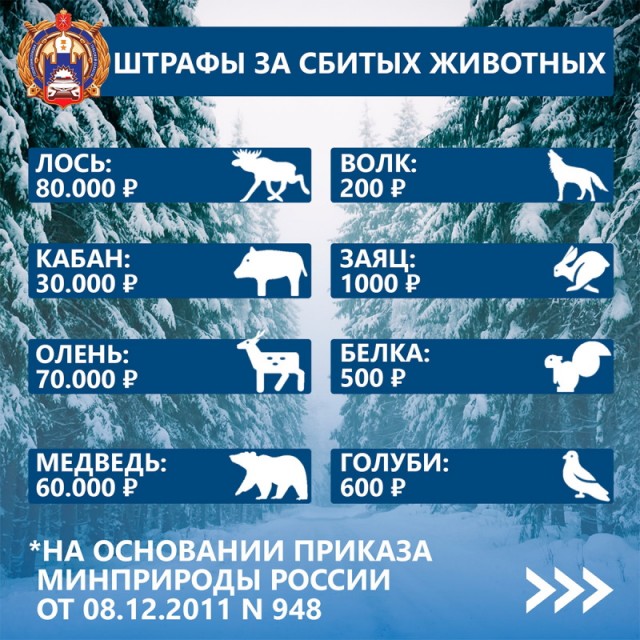 Пожалел голубкА