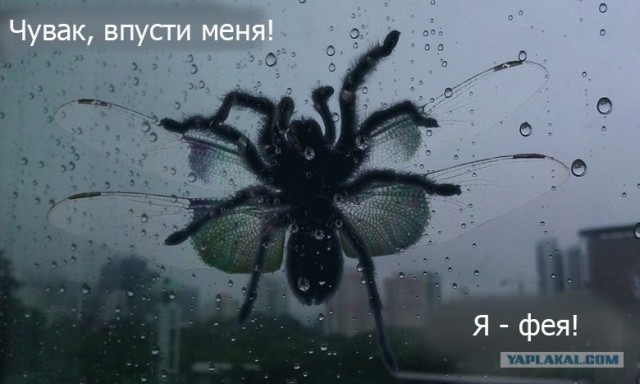 ДТП в Корее