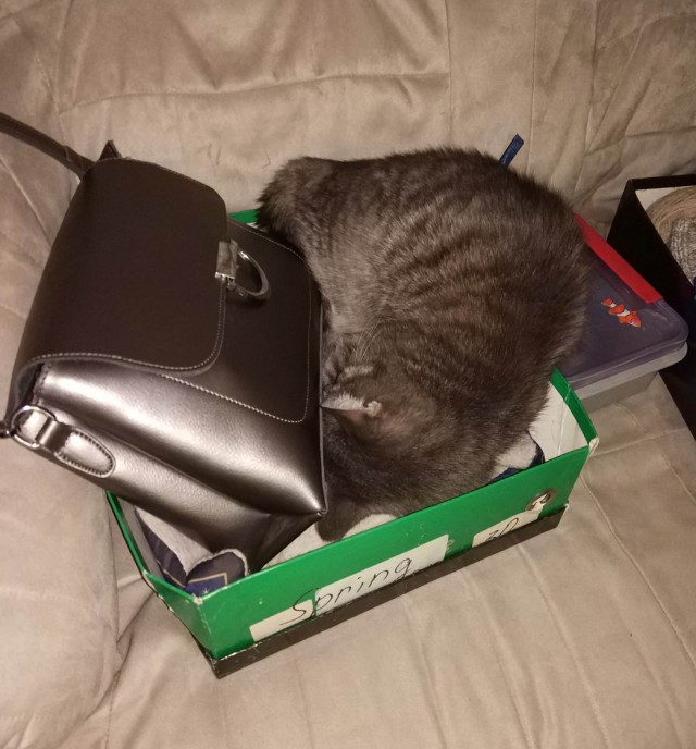 Cat Bеd