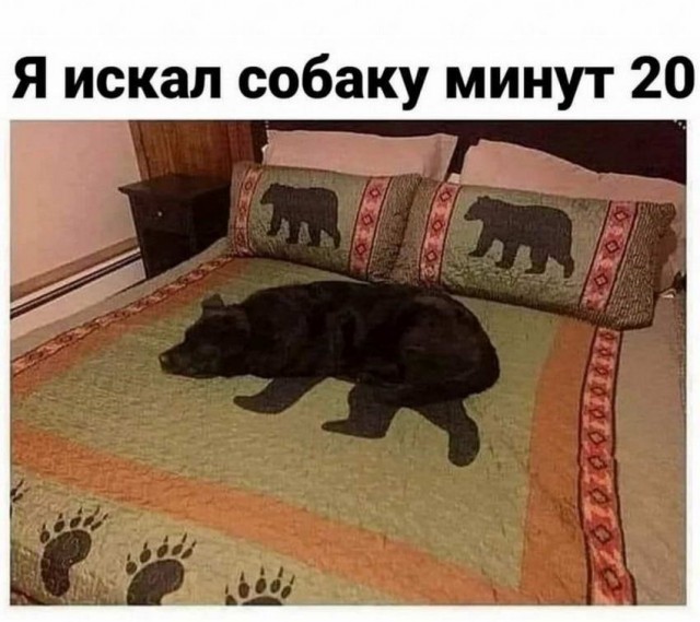 Картинки и мемы для настроения - 22