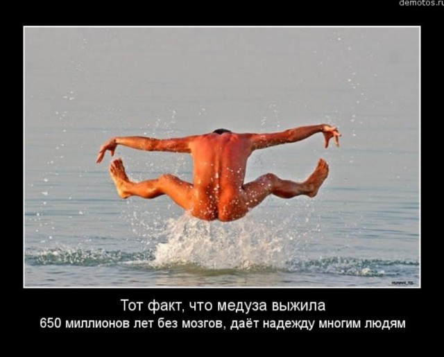 О женщинах