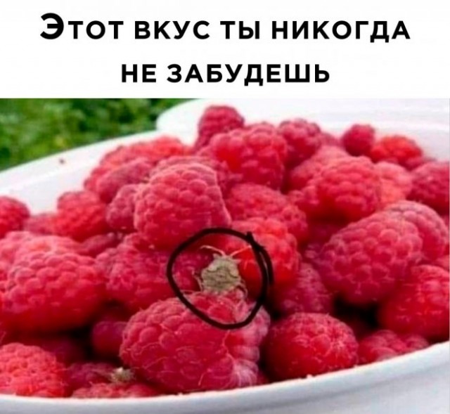 Картинки и мемы для настроения - 15