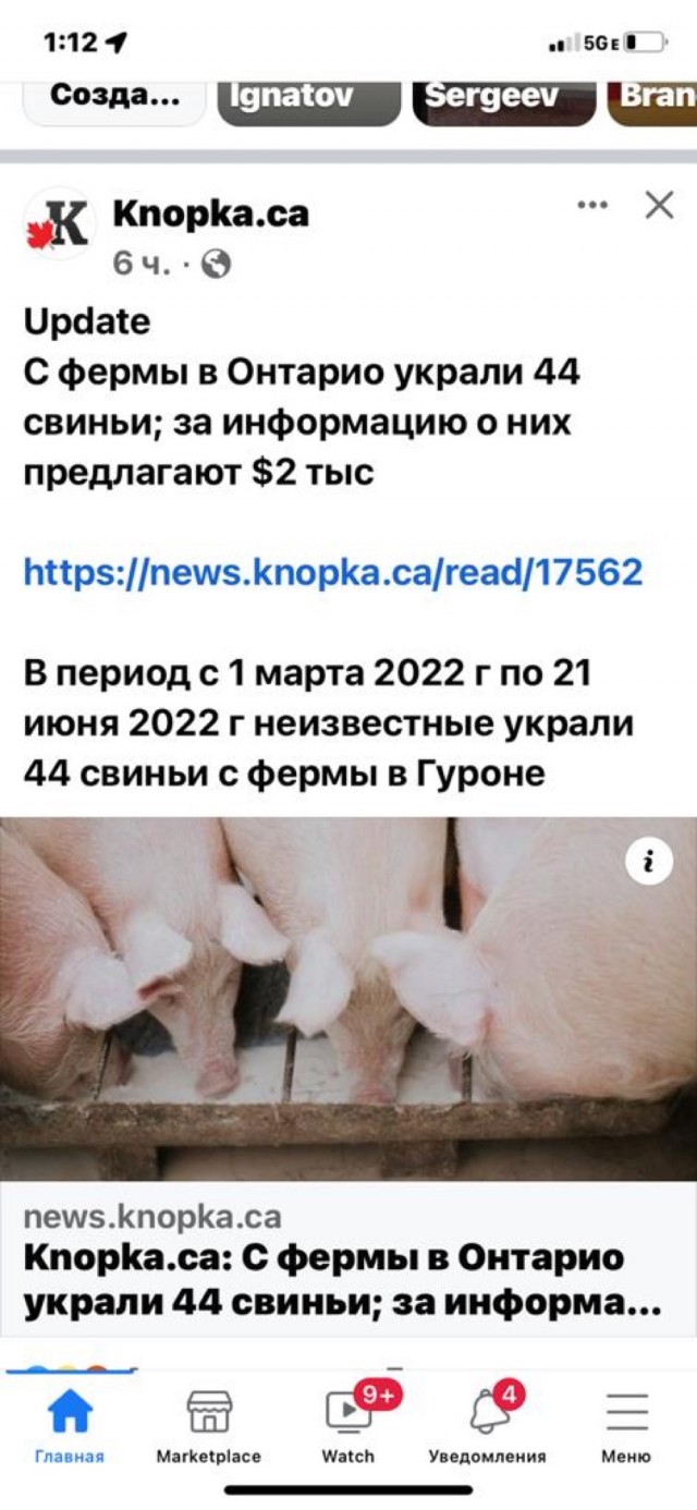 Средненедельная деградация