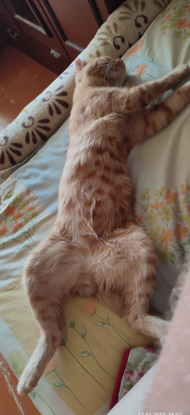 С праздником