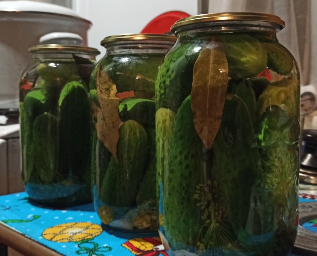 Кулинарная общалка