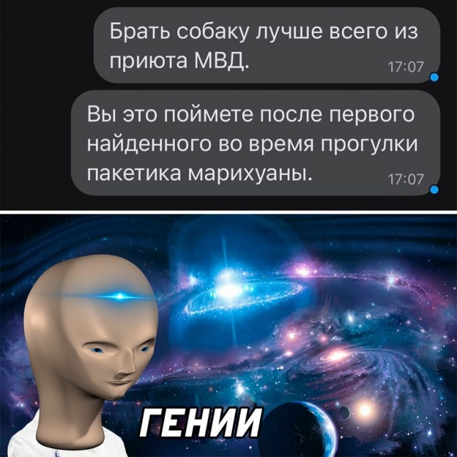 Весёлый полтишок 08.09.22