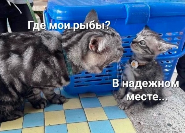 Картинки и мемы для настроения - 119