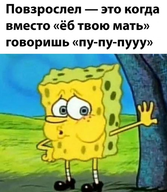 Весёлый полтишок 02.11.22
