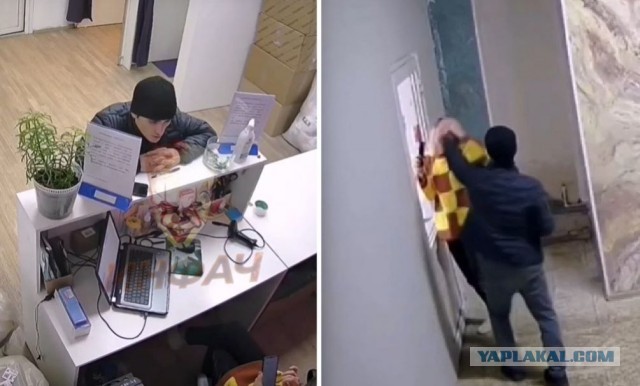 Полицейские задержали мигранта, избившего сотрудницу подмосковного пункта Wildberries.