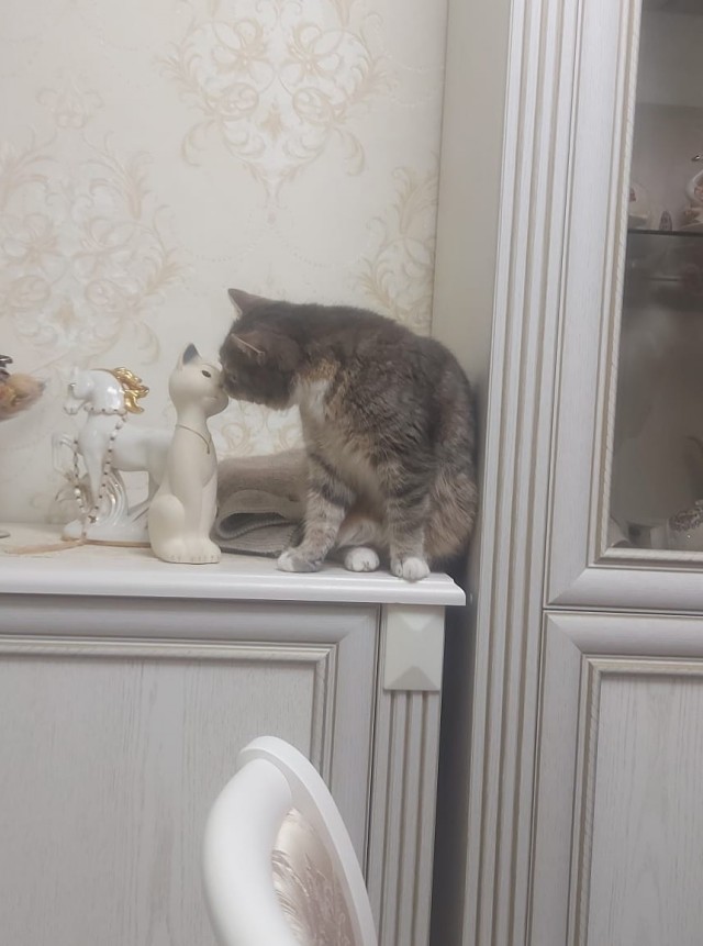 Дождалась