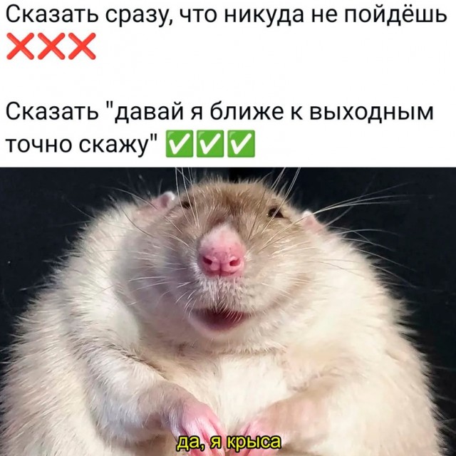 Картинки и мемы для настроения - 137