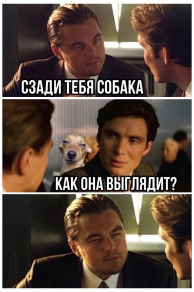 Картинки и мемы для настроения - 137