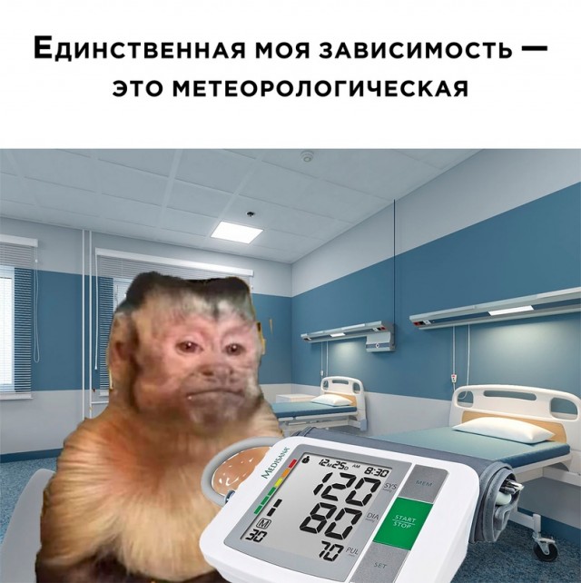 Скупка краденого из сети 24-05-2023