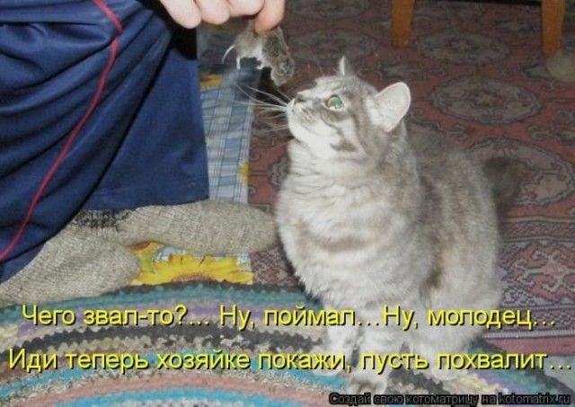 Где тут "свободная касса"?