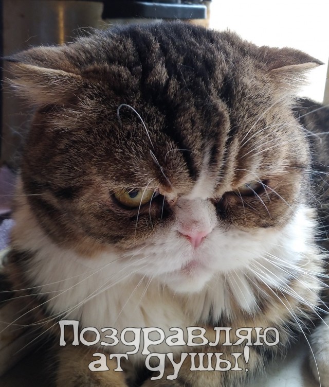 Ну вот и я стал рабом.