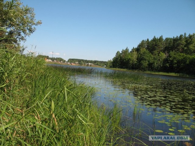 Реки, большие и маленькие