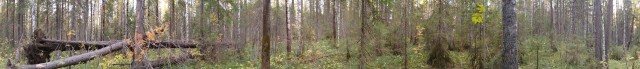 Рязань - Сасово из кабины машиниста