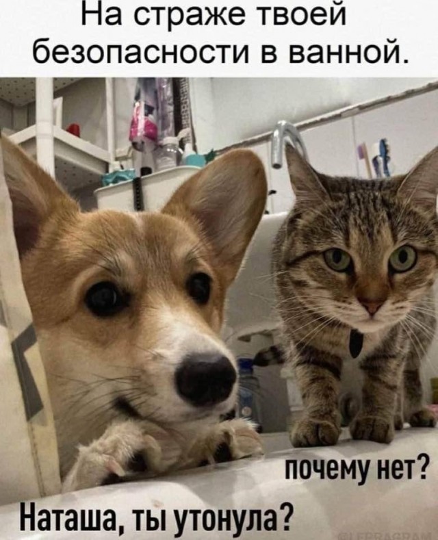 Так себе картинки 06.12.23