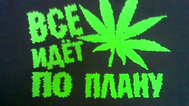 Прикольные и просто красивые картинки 15.12.2023