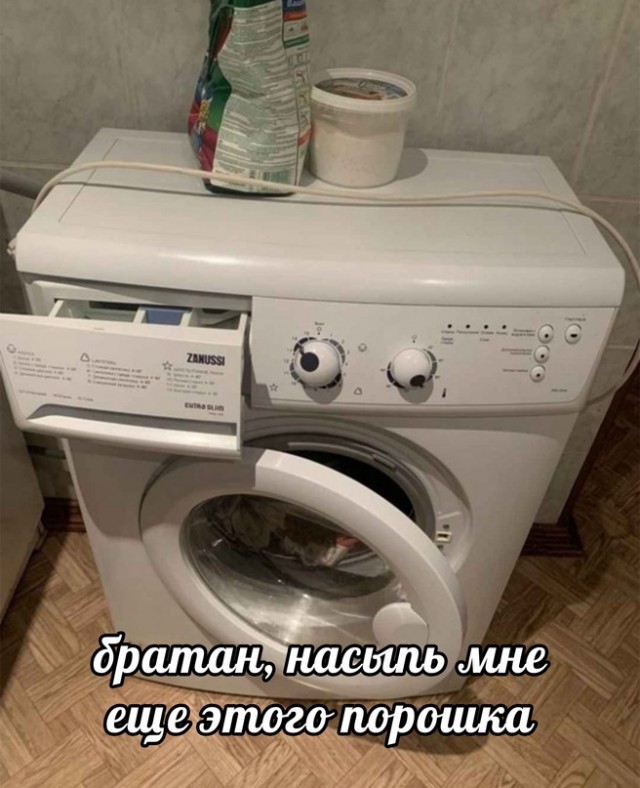 Весёлый полтишок 05.01.24