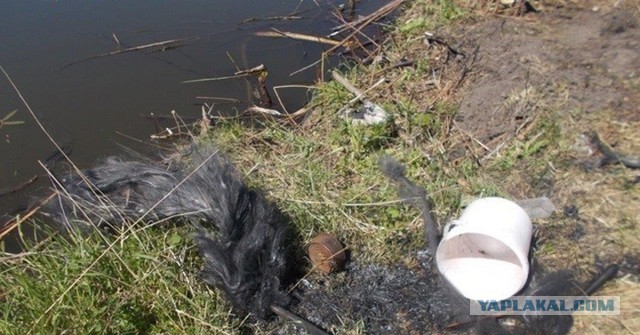 В грозу ловить опасно