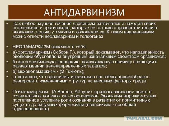 30% россиян выступают за исключение теории Дарвина из школьного курса — ВЦИОМ