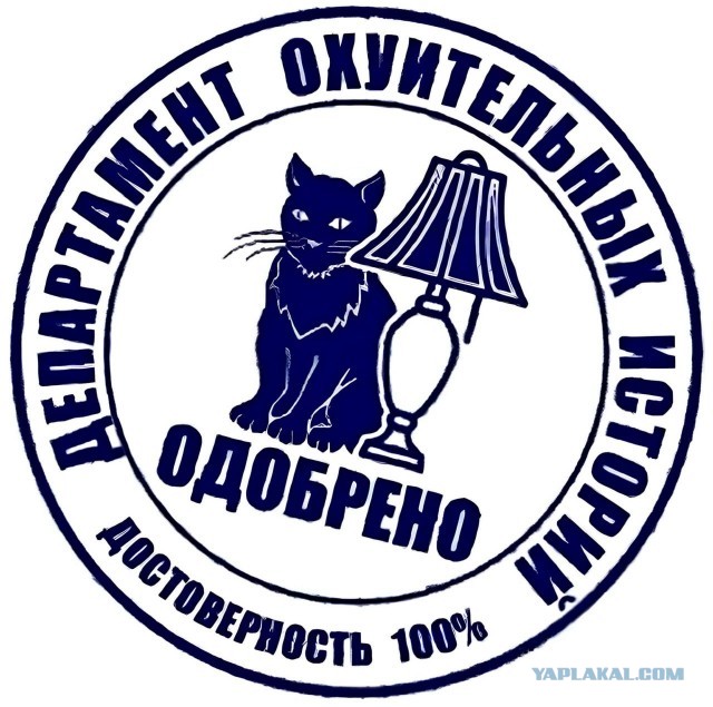 В «Крокус Сити холл» в Москве произошла стрельба перед началом концерта группы «Пикник»