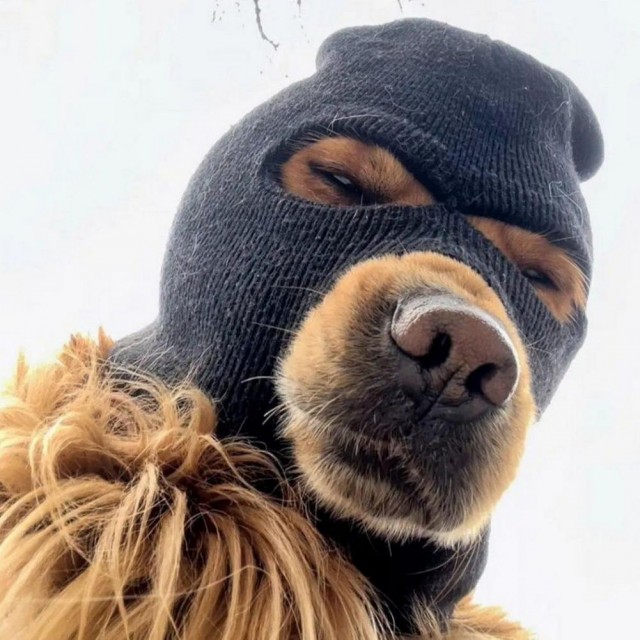 Маленькая пятница