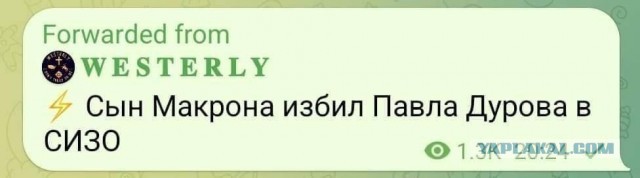⚡️ Павел Дуров арестован в Париже