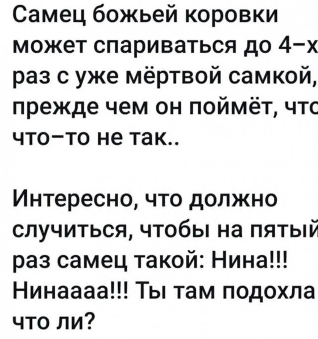 Завалялось тут случайно немного забавных картинок