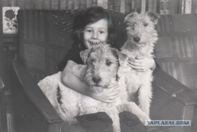 Человек и собака