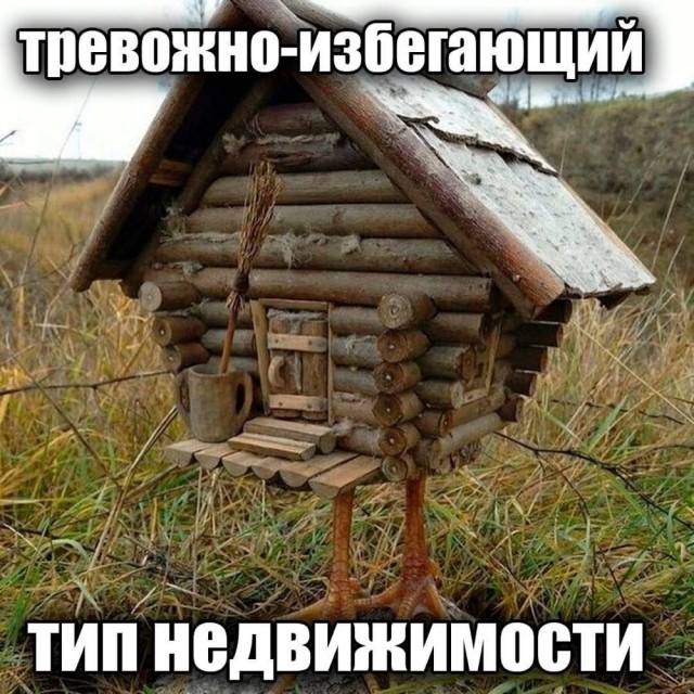 Весёлый полтишок 10.12.24