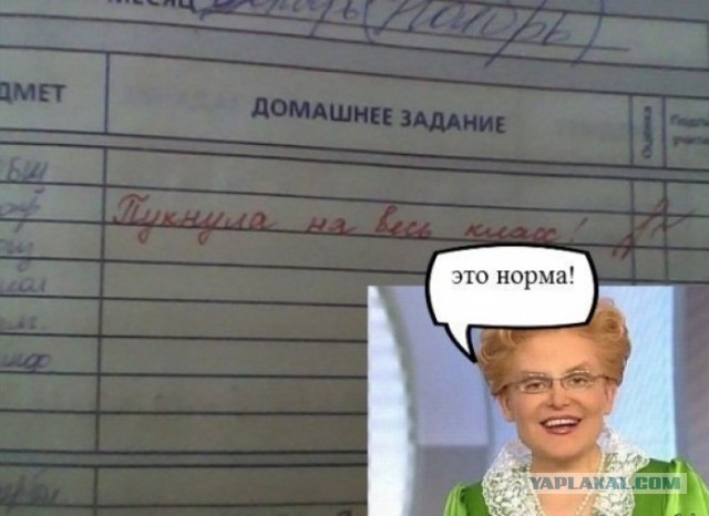 Забавные школьные дневники