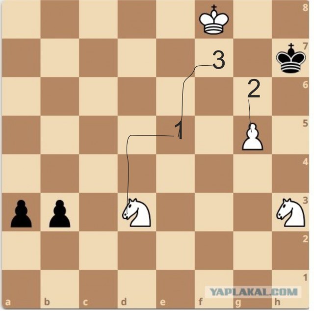 Давно не брал я в руки шахмат