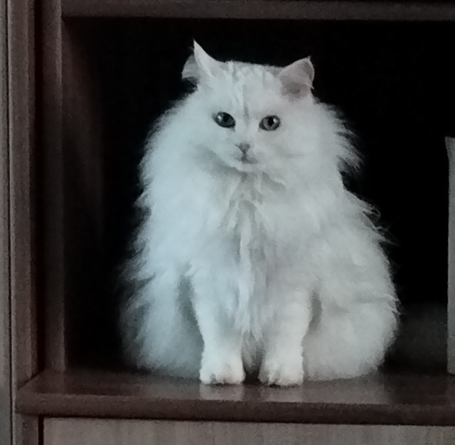 Игра