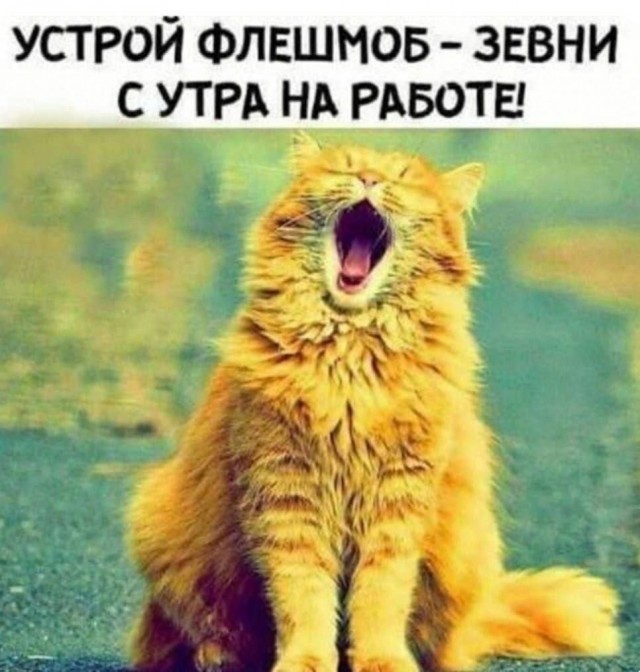 Веселые картинки в маленькую пятницу (16.04)