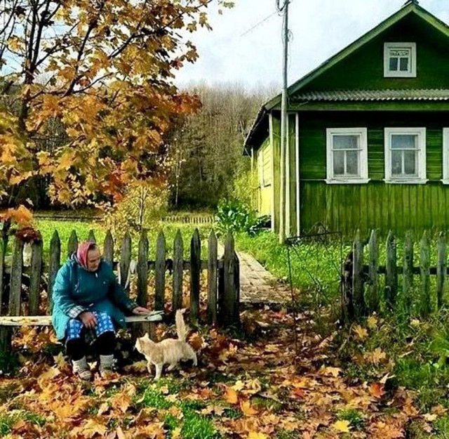 Прикольные и просто красивые картинки