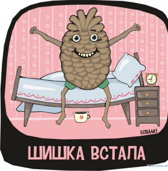 Пятничная подборка