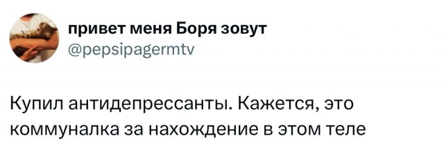 Всецело за