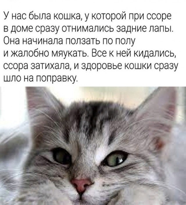 Так себе картинки 19.08.25
