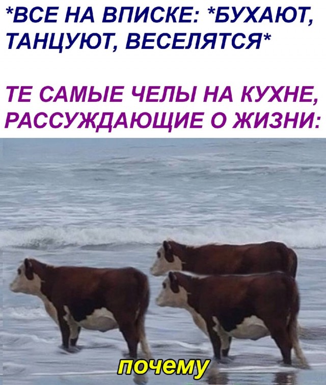 Картинок немного в среду утром