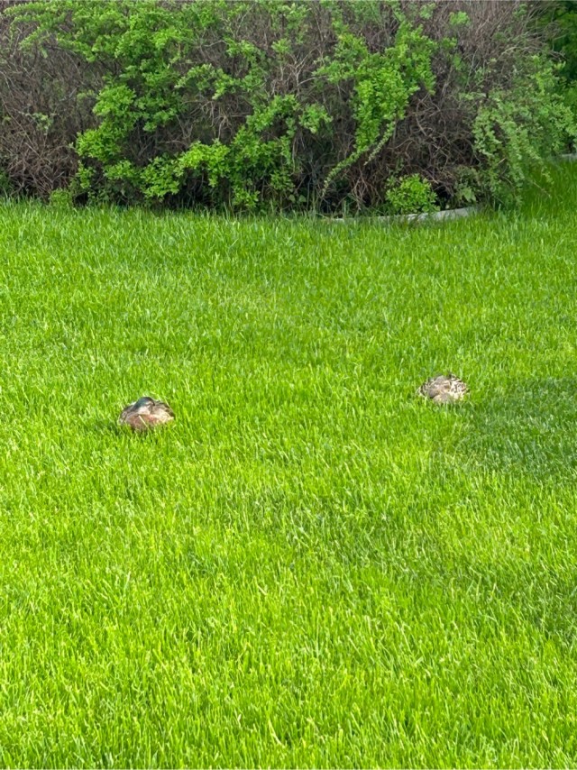 Вот моё дело…